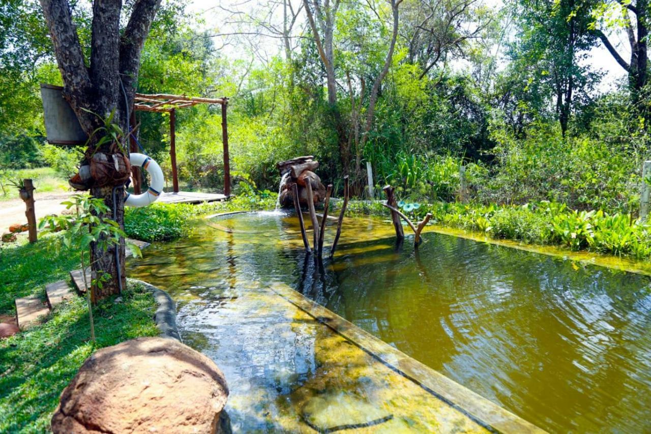 The Ibis - Wilpattu Villa Puttalam Ngoại thất bức ảnh