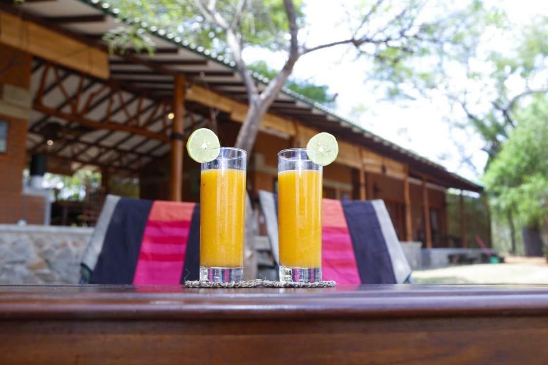 The Ibis - Wilpattu Villa Puttalam Ngoại thất bức ảnh